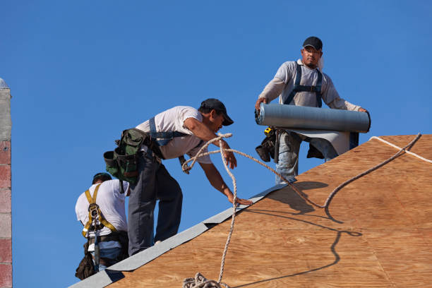 Best Roof Gutter Cleaning  in Spencer, WI